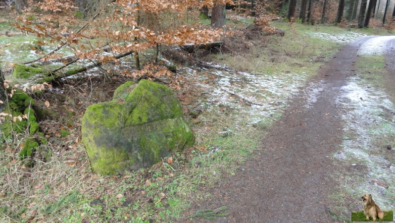 Ritterstein Nr. 124-3  R. Amoenenhof.JPG - Ritterstein Nr.124   R. Amoenenhof                               